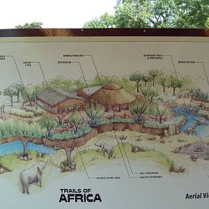 Trails Of Africa - Drawing
