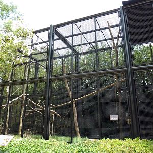 Primate Building - White-Handed Gibbon Exhibit