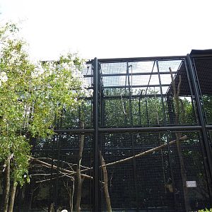 Primate Building - White-Handed Gibbon Exhibit