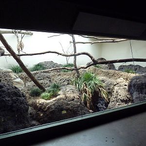 Primate Building - Ring-Tail/Red-Fronted Lemur Exhibit