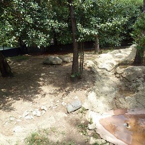 Primate Building - Giant Anteater Exhibit