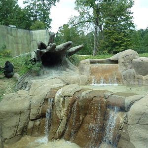 Primate Building - Gorilla Exhibit
