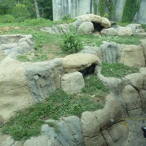 Primate Building - Gorilla Exhibit