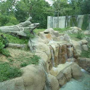 Primate Building - Gorilla Exhibit