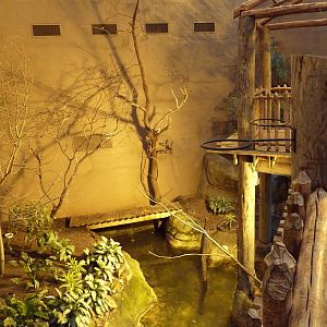 Primate Building - Walk-Through Bird Aviary