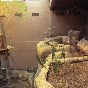 Primate Building - Walk-Through Bird Aviary