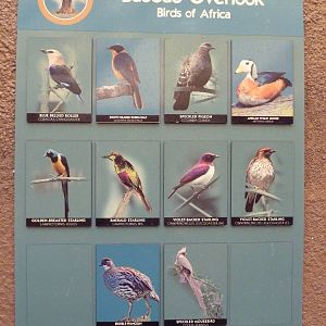 Primate Building - Walk-Through Bird Aviary Signage