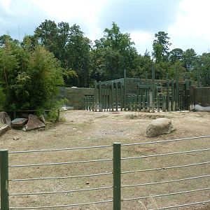 White Rhino Exhibit