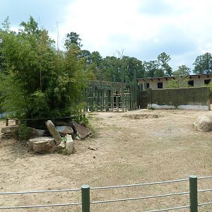 White Rhino Exhibit