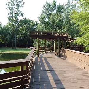 Bennett's Wallaby/Red Kangaroo/Black Swan Exhibit - Boardwalk