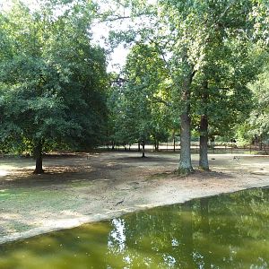 Bennett's Wallaby/Red Kangaroo/Black Swan Exhibit