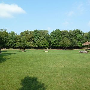 Multi-Acre Sika Deer/Axis Deer/Fallow Deer/Banteng/Muntjac/Sarus Crane Exhi