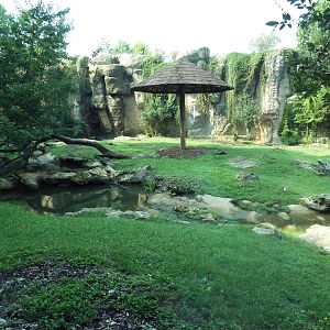 Bengal Tiger Exhibit