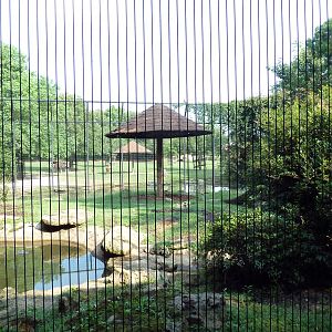 Bengal Tiger Exhibit