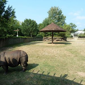 Indian Rhino Exhibit