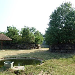 Indian Rhino Exhibit