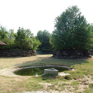 Indian Rhino Exhibit
