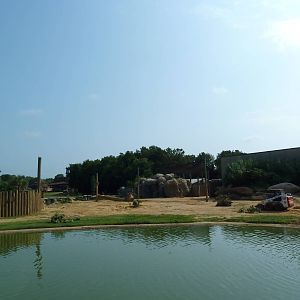 African Elephant Exhibit