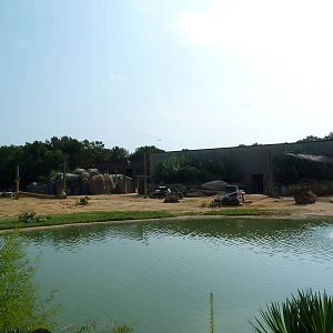 African Elephant Exhibit