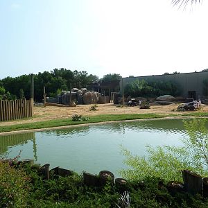 African Elephant Exhibit