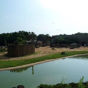 African Elephant Exhibit