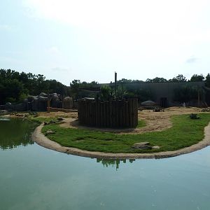 African Elephant Exhibit