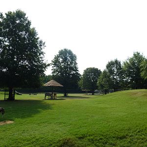 Multi-Acre African Savanna (8 Species)