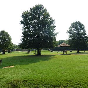 Multi-Acre African Savanna (8 Species)