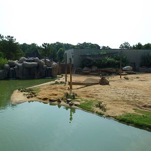 African Elephant Exhibit