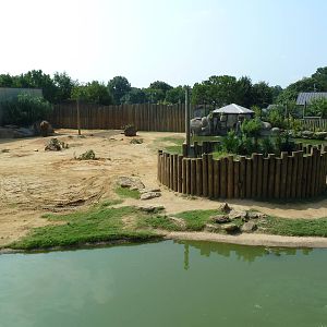African Elephant Exhibit