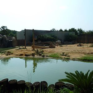 African Elephant Exhibit