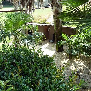 Black-Footed Penguin Exhibit