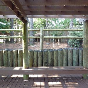 Blue Duiker/Gunther's Dik-Dik Exhibit