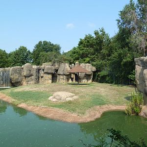 Lion Exhibit