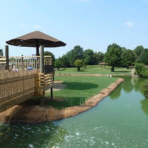 Giraffe/Pygmy Hippo/Ground Hornbill Exhibit