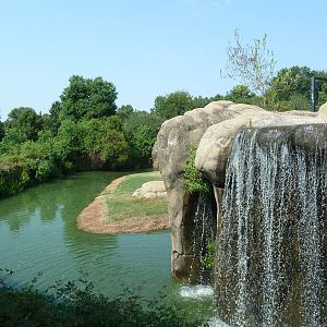 Lion Exhibit - Waterfall