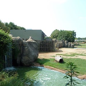 Giraffe/Pygmy Hippo/Ground Hornbill Exhibit
