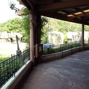 Overlook Cafe - Lion Exhibit