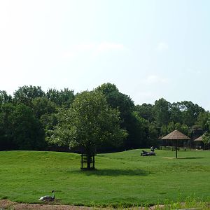 Multi-Acre Sika Deer/Axis Deer/Fallow Deer/Banteng/Muntjac/Sarus Crane Exhi