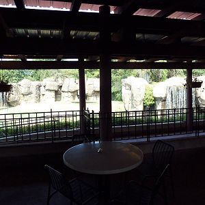 Overlook Cafe - Lion Exhibit