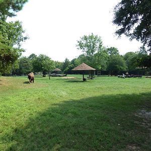 Multi-Acre White-Tailed Deer/Bison/Bighorn Sheep/Elk/Wild Turkey Exhibit