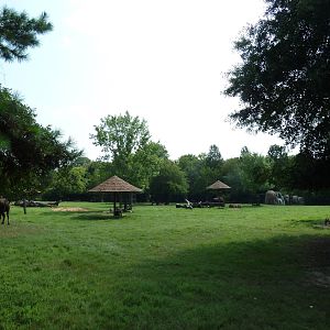 Multi-Acre White-Tailed Deer/Bison/Bighorn Sheep/Elk/Wild Turkey Exhibit