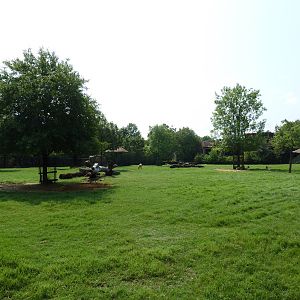 Multi-Acre White-Tailed Deer/Bison/Bighorn Sheep/Elk/Wild Turkey Exhibit