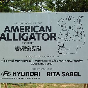 Sign - Future Alligator Exhibit