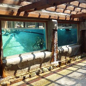 North American River Otter Exhibit