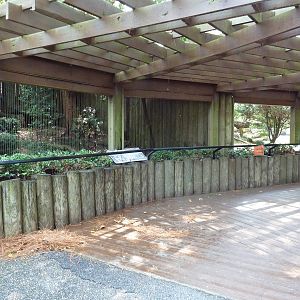 Canadian Lynx Exhibit