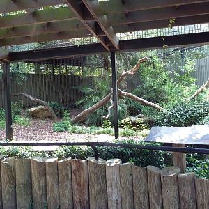 Jaguar Exhibit