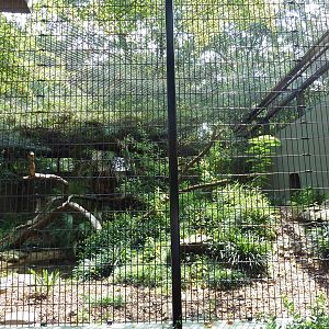 Jaguar Exhibit