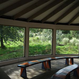 cheetah viewing area