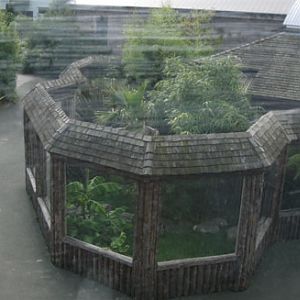 komodo dragon exhibit